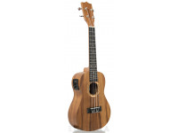 Tanglewood TWT 8 E Tanglewood TWT 8 E